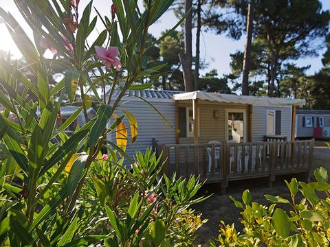 Mobilhome 4 personnes - Confort 27.5m² - 2 chambres - Terrasse bois semi-couverte 11m²