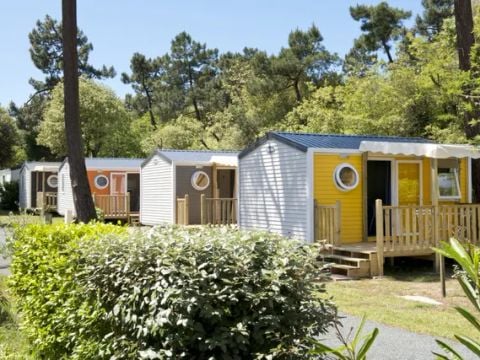 Camping Oléron Saint Tro'Park - Camping Charente-Maritime - Image N°11