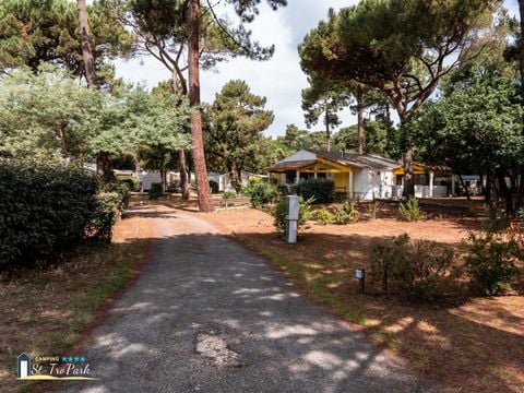 Camping Oléron Saint Tro'Park - Camping Charente-Maritime - Image N°8