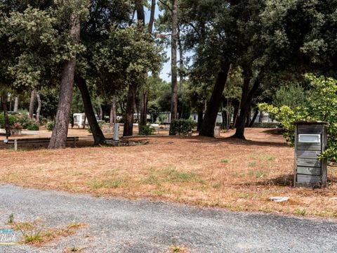 Camping Oléron Saint Tro'Park - Camping Charente-Maritime - Image N°29