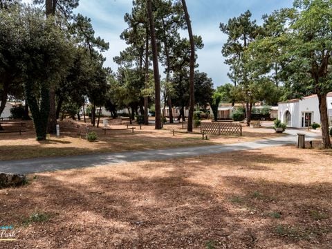 Camping Oléron Saint Tro'Park - Camping Charente-Maritime - Image N°26