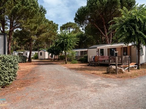 Camping Oléron Saint Tro'Park - Camping Charente-Maritime - Image N°25