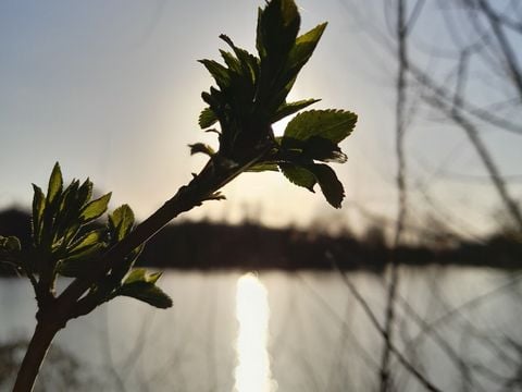 Camping Les Rulières - Camping Vandea - Image N°13