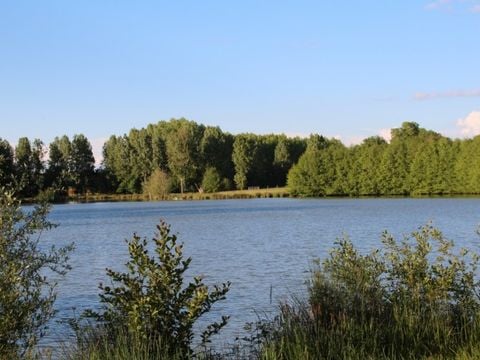Camping Les Rulières - Camping Vendée - Image N°11