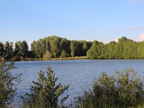 Camping Les Rulières - Camping Vandea - Image N°12