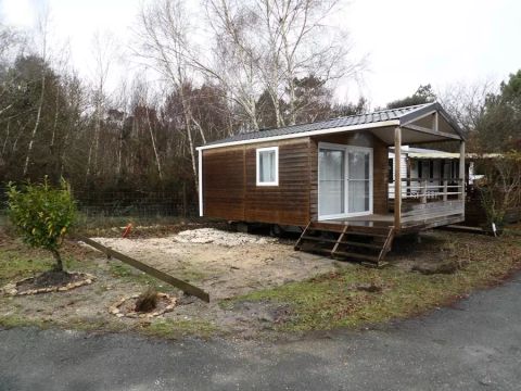 CHALET 4 personnes - Chalet Confort 2 Pièces 2/4 Personnes