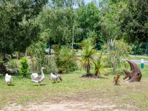 Camping Les Etangs Mina - Camping Charente-Maritime - Image N°70