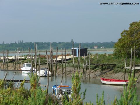 Camping Les Etangs Mina - Camping Charente-Maritime - Image N°92