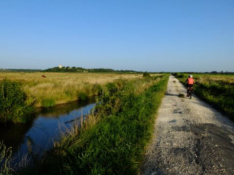 Camping Les Etangs Mina - Camping Charente-Maritime - Image N°83