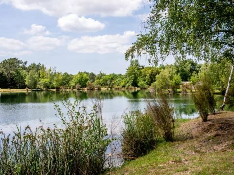 Camping Les Etangs Mina - Camping Charente-Maritime - Image N°72