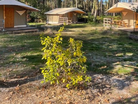 Camping Vert Bord D'eau - Camping Gironda - Image N°3