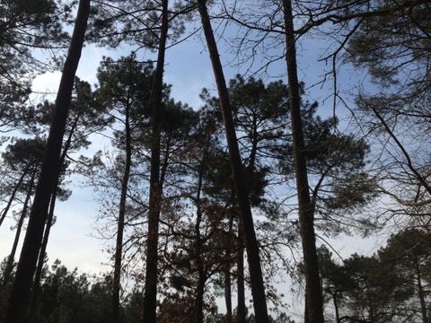 Camping Vert Bord D'eau - Camping Gironde - Image N°16