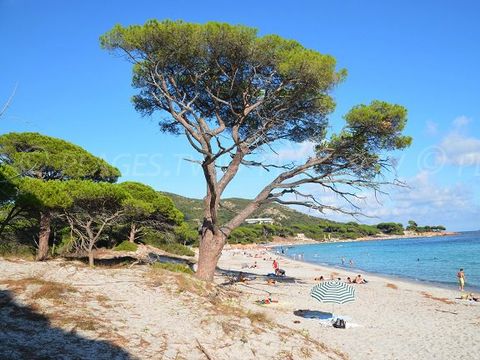 Résidence San Martinu - Camping Corse du sud - Image N°14