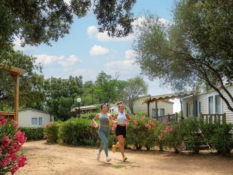 Camping Acqua E Sole - Camping Zuid-corsica