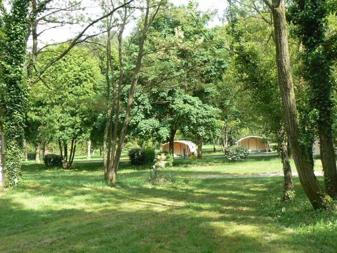 Emplacement - Emplacement Classique 100m² (2 personnes, 1 tente, caravane ou camping-car / 1 voiture) +electricité 10A 2 pers