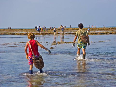 Camping Les Grenettes  - Camping Charente-Maritime - Image N°36