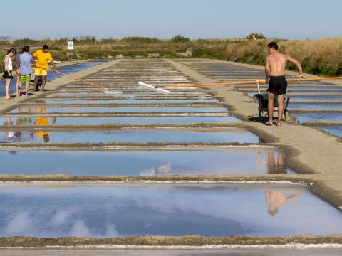 Camping Les Grenettes  - Camping Charente-Maritime - Image N°38