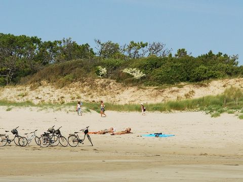 Camping Les Grenettes  - Camping Charente-Maritime - Image N°31