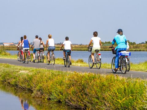 Camping Les Grenettes  - Camping Charente-Maritime - Image N°39