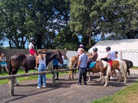 Camping Les P'tites Maisons dans la Prairie - Camping Vendée