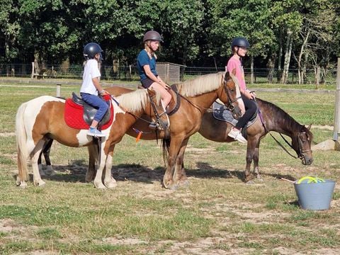 Camping Les P'tites Maisons dans la Prairie - Camping Vendée