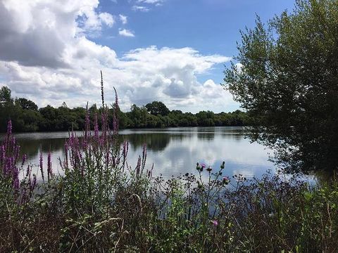 Camping Au Pré de l'Etang - Camping Vendée - Image N°30