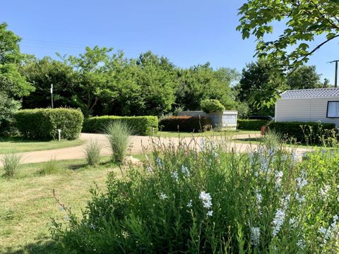 Camping Au Pré de l'Etang - Camping Vendée - Image N°19