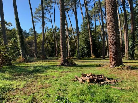 Camping Val de l'eyre - Camping Gironde - Image N°19