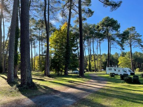 Camping Val de l'eyre - Camping Gironde - Image N°18
