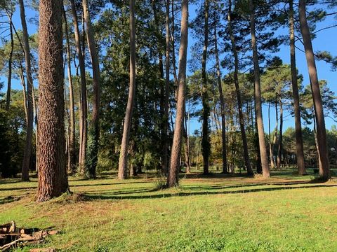 Camping Val de l'eyre - Camping Gironde - Image N°15