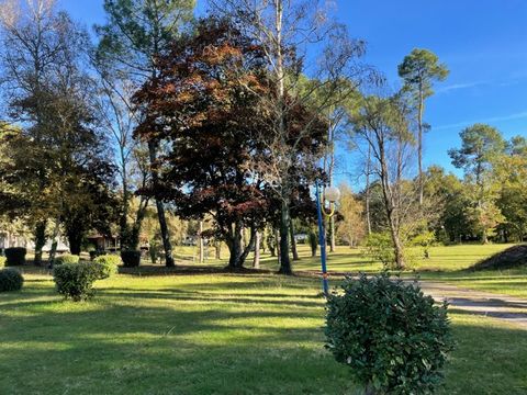 Camping Val de l'eyre - Camping Gironde - Image N°22