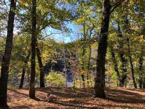 Camping Val de l'eyre - Camping Gironde - Image N°21