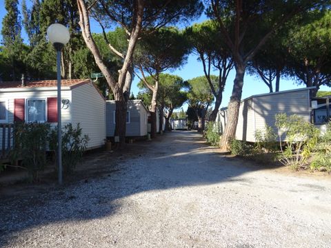 Camping International du Roussillon - Camping Pyrenees-Orientales - Image N°3