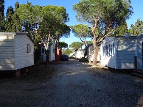 Camping International du Roussillon - Camping Pyrenees-Orientales - Image N°5