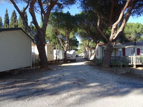 Camping International du Roussillon - Camping Pyrenees-Orientales - Image N°4