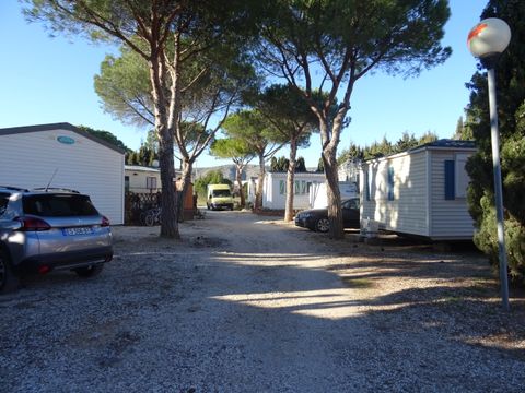 Camping International du Roussillon - Camping Pyrenees-Orientales - Image N°6