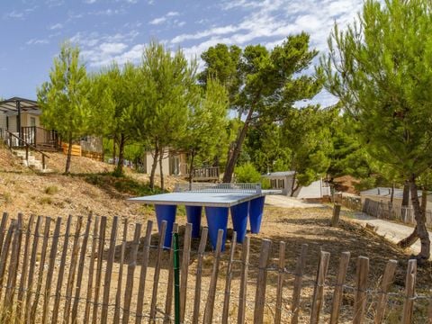 Camping Le Bois de Pins - Camping Pyrénées-Orientales