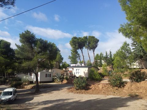 Camping Le Bois de Pins - Camping Pyrenees-Orientales - Image N°22