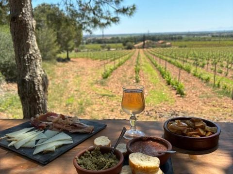 Camping Le Bois de Pins - Camping Pyrénées-Orientales