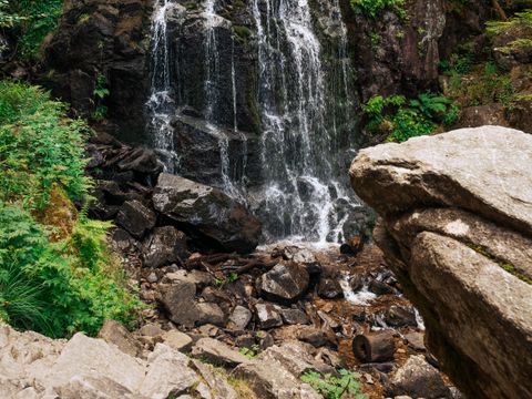 Sunêlia Camping les Nids du Lac - Camping Vosges - Image N°46
