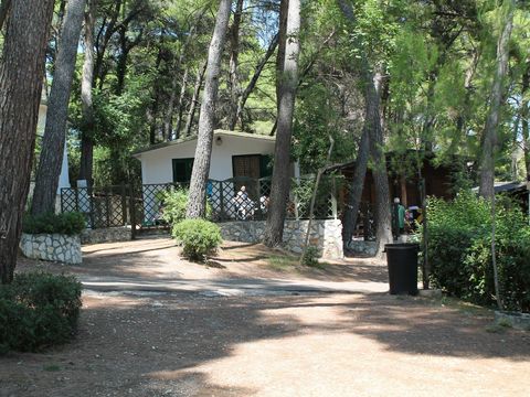 Camping Internazionale San Menaio - Camping Foggia - Image N°10