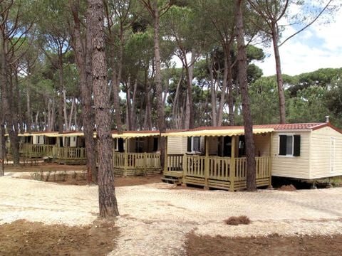 Hu Park Albatros Village - Camping Livorno - Image N°0