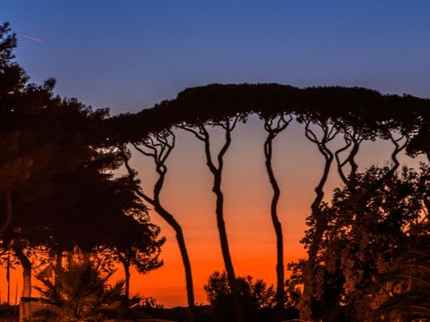 MOBILHOME 6 personnes - SunLodge Sabai