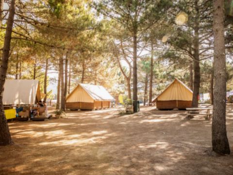 TENTE TOILE ET BOIS 5 personnes - Tente Lodge Sans sanitaire - arrivée le samedi en haute saison
