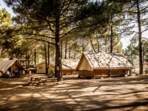 TENTE TOILE ET BOIS 4 personnes - Tente Lodge - Sans sanitaires - arrivée le samedi en haute saison