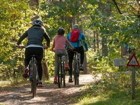 Camping du Lac de Saujon - Camping Charente-Maritime - Image N°3