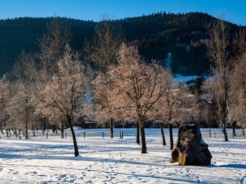 La Régie du Lac de la Moselotte. - Camping Vogezen - Afbeelding N°14