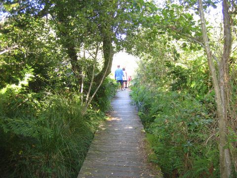 Camping Les 2 Etangs - Camping Landes - Image N°23