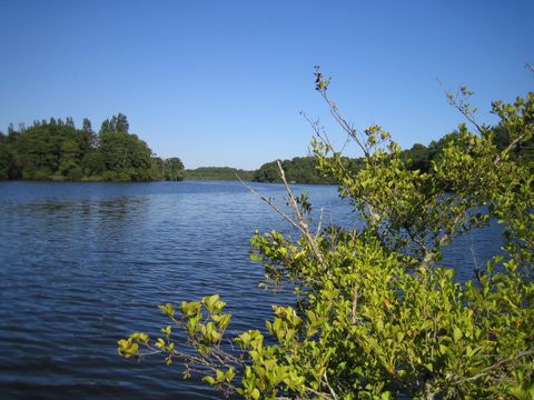Camping Les 2 Etangs - Camping Landes - Image N°27