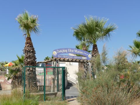Camping Bleu Marine   - Camping Hérault - Image N°33